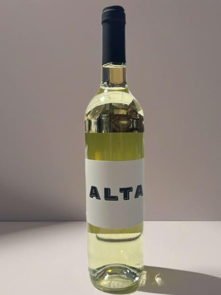2023 Alta