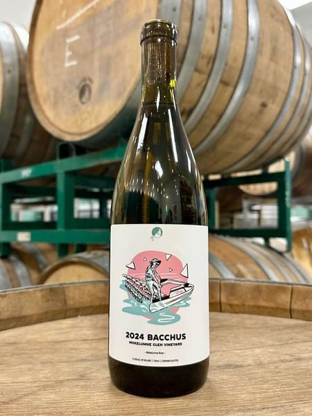 2023 Bacchus | Friendly Noise | Cider | Vinoshipper